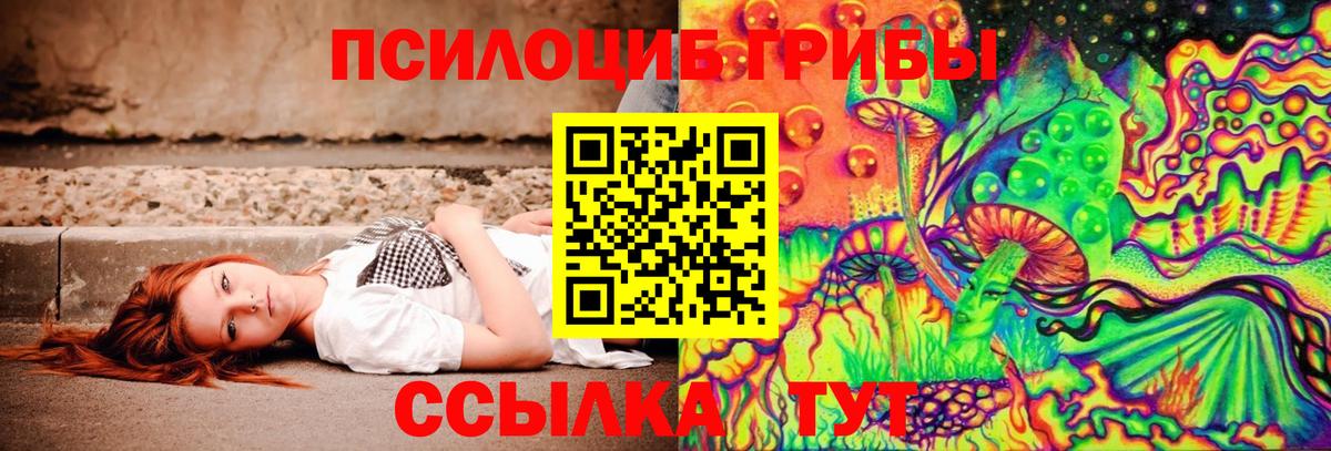 Сосновоборск  Псилоцибиновые грибы мухоморы  Вход с VPN 